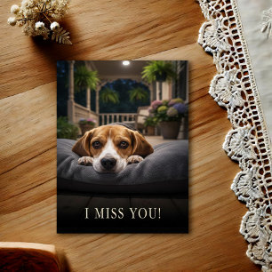 Cute Beagle I Miss You Postcard