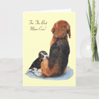cute beagle puppy cuddling mum dog