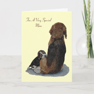 cute beagle puppy cuddling mum dog with verse card
