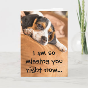 Cute Beagle Puppy Missing You Quote Card