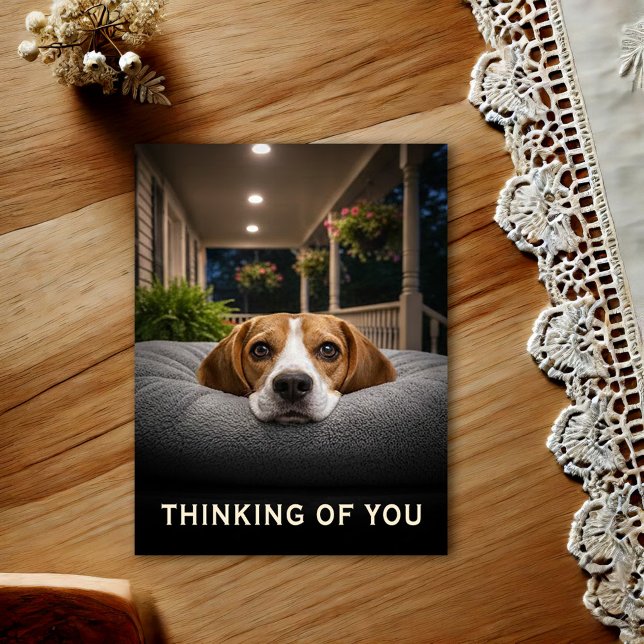 Cute Beagle Thinking Of You Postcard (Creator Uploaded)