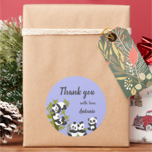 Cute Bear Pandas Party Boy Birthday Gift Thank you Classic Round Sticker
