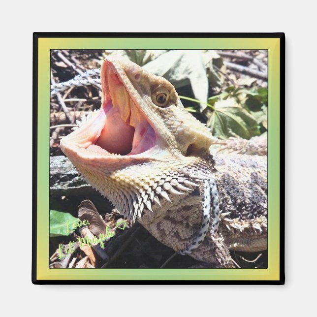 Cute Bearded Dragon Yawning Silent Rebel Yell Magnet (Front)
