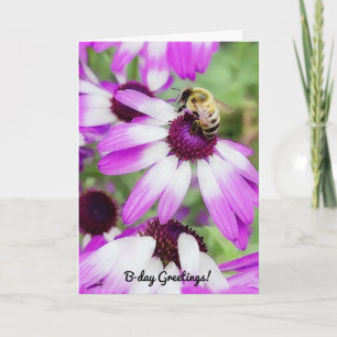 Cute Bee on Daisy Flower Pun Birthday Card