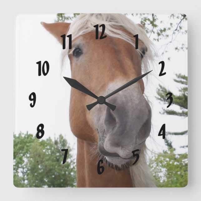 Cute Belgian Draft Horse Face Animal Square Wall Clock (Front)