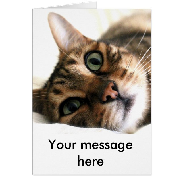 Cute Bengal Cat in Bed Custom Card (Front)
