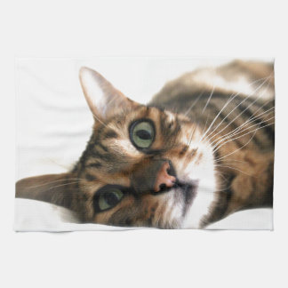 Cute Bengal Cat in Bed Picture Tea Towel