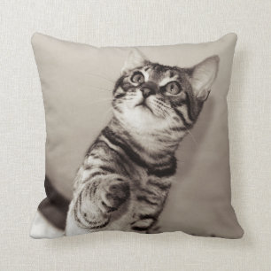 Cute Bengal Kitten Photo Cushion
