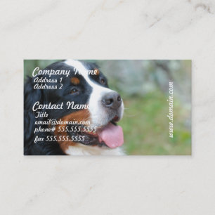 Cute Bernese Business Cards