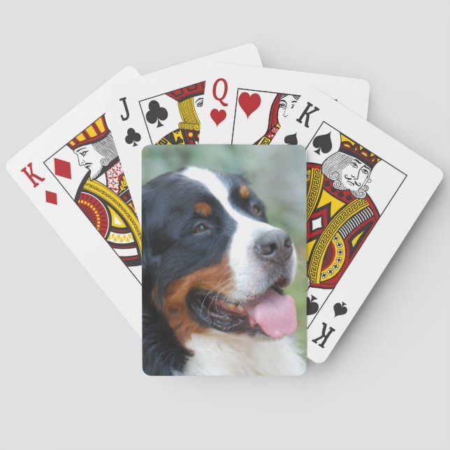 Cute Bernese Deck of Cards (Back)