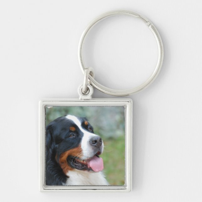 Cute Bernese Keychain (Front)