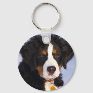 Cute Bernese Mountain Dog Puppy Picture Key Ring