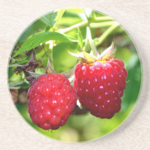 Cute berry photo Raspberries blackberries fruit Coaster