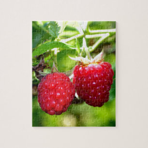 Cute berry photo Raspberries blackberries fruit Jigsaw Puzzle