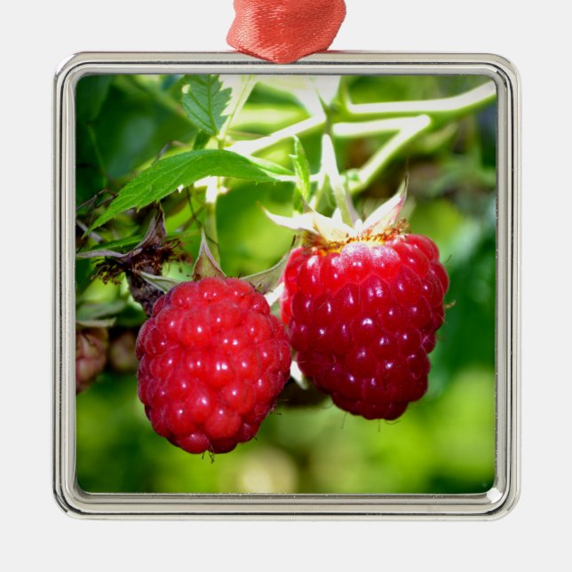 Cute berry photo Raspberries blackberries fruit Metal Ornament (Front)