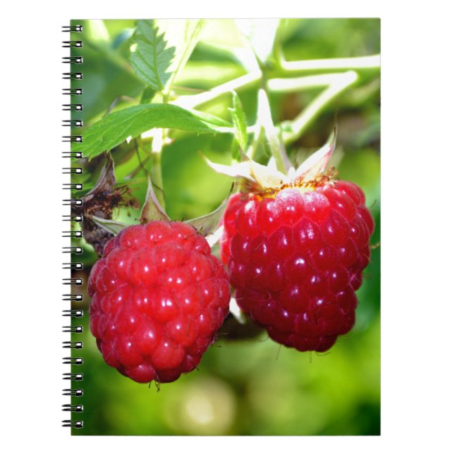 Cute berry photo Raspberries blackberries fruit Notebook (Front)