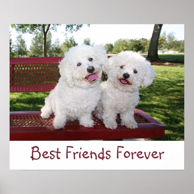 Cute Best Friends Forever Poster Print (Front)