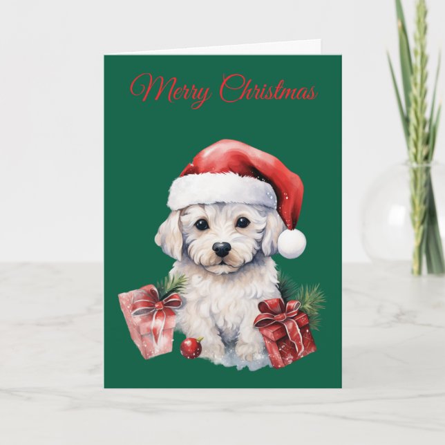 Cute Bichon Frise at Christmas Holiday Card (Front)