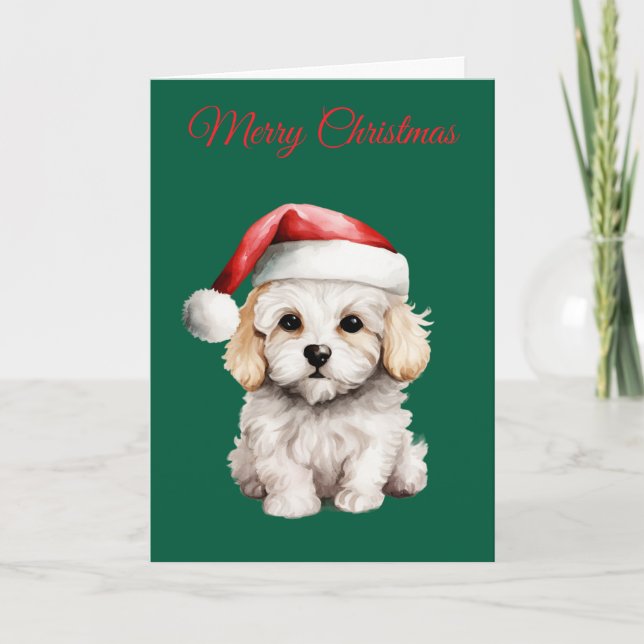 Cute Bichon Frise at Christmas Holiday Card (Front)