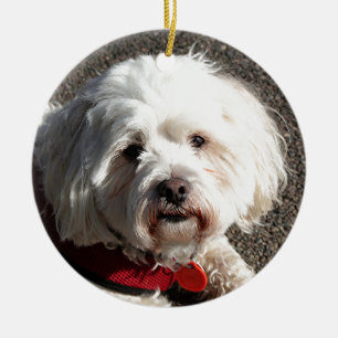 Cute bichon frise dog ceramic tree decoration