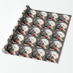 Cute bichon frise dog wrapping paper