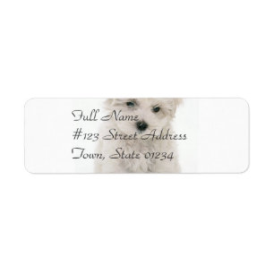 Cute Bichon Frise Mailing Label Return Address Label