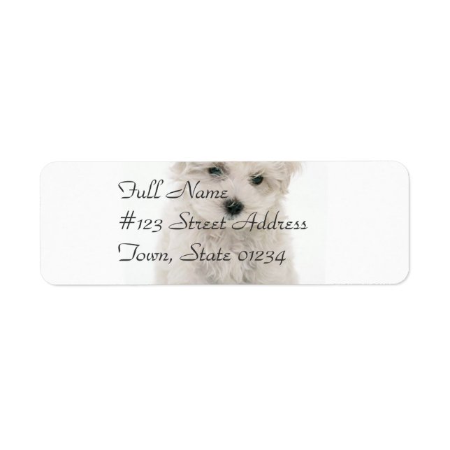 Cute Bichon Frise Mailing Label Return Address Label (Front)