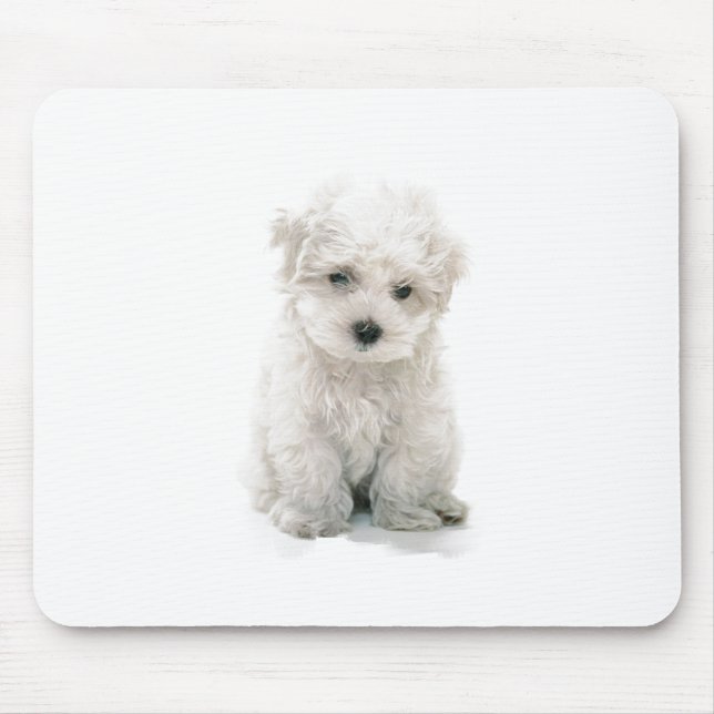Cute Bichon Frise Mouse Pad (Front)