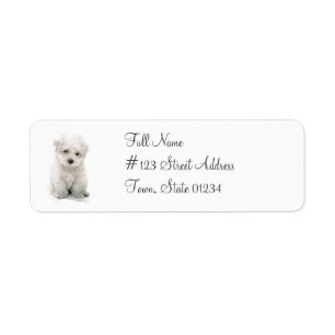 Cute Bichon Frise Return Address Mailing Label
