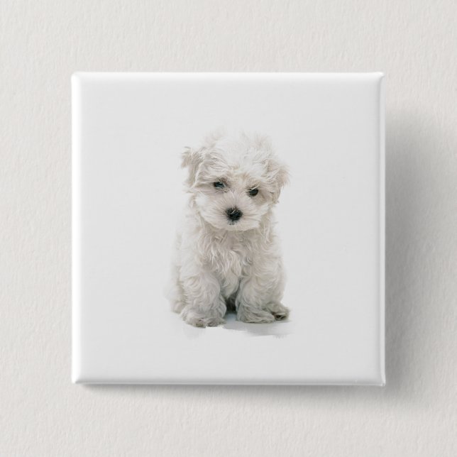 Cute Bichon Frise Square Pin (Front)