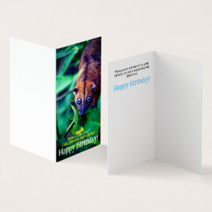 Cute Big Eyed Possum In Jungle Birthday Card