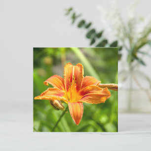 Cute big Lily flower photo
