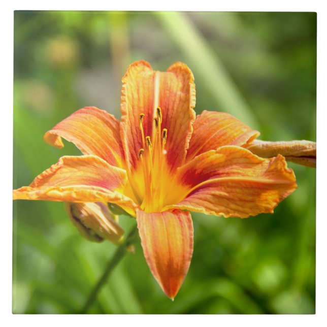 Cute big Lily flower photo Ceramic Tile (Front)