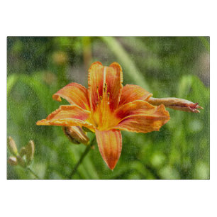Cute big Lily flower photo Cutting Board