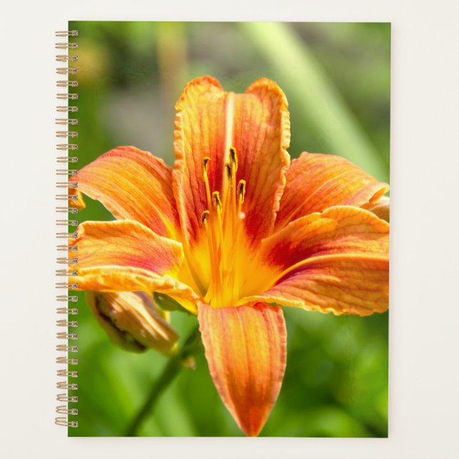 Cute big Lily flower photo Planner (Front)