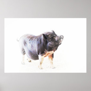 Cute Big Pig Farm Style Art Poster