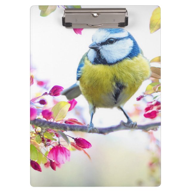 Cute Bird Clipboard (Front)