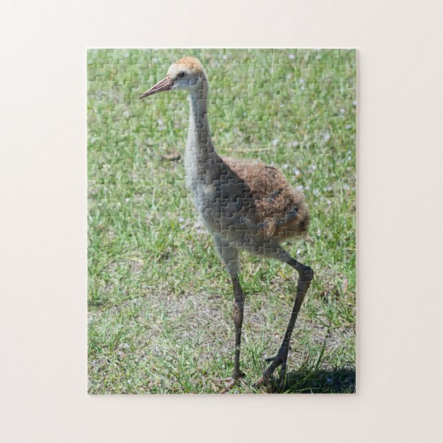 Cute Bird Nature Wildlife Florida Sandhill Crane Jigsaw Puzzle (Vertical)