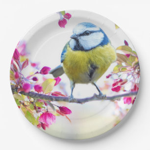Cute Bird Paper Plate