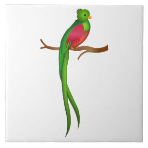 Cute bird Quetzal Ceramic Tile