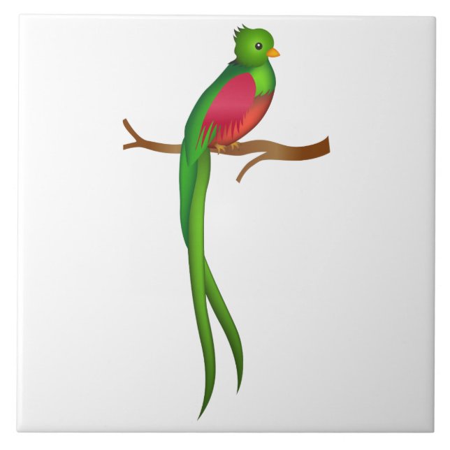 Cute bird Quetzal Ceramic Tile (Front)