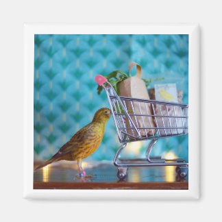 Cute Bird Shopping Magnet