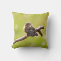 Cute bird singing happily in a summer day