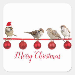 Cute Bird With Santa Hat Merry Christmas    Square Sticker