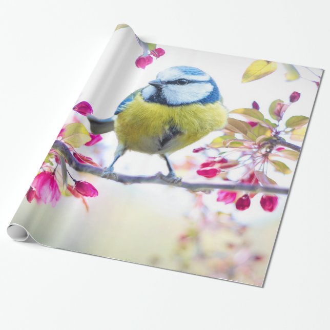 Cute Bird Wrapping Paper (Unrolled)