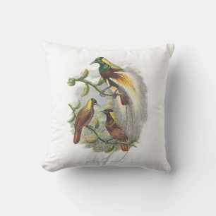 Cute birds cushion