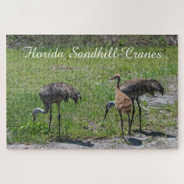 Cute Birds Florida Sandhill Crane Scenic Nature  Jigsaw Puzzle (Horizontal)
