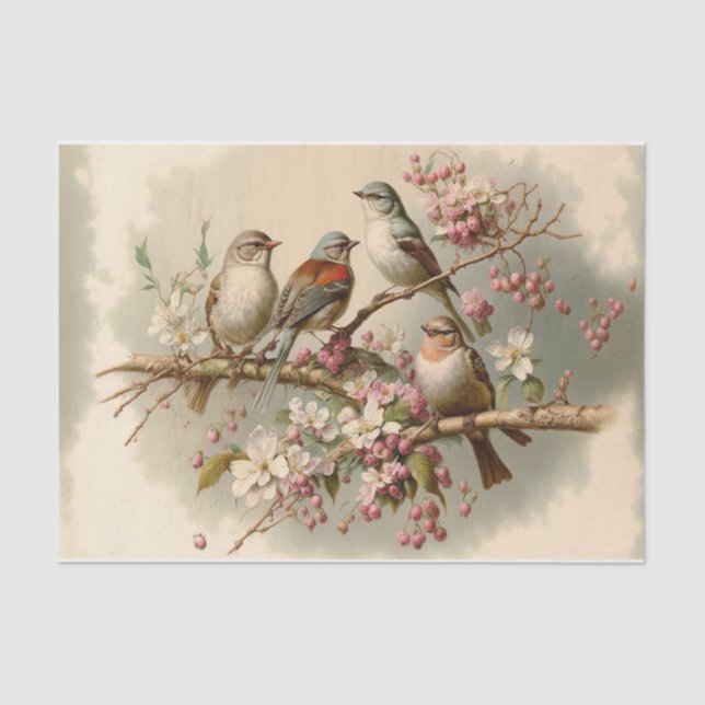 Cute Birds on a Branch Tissue Paper (Front)