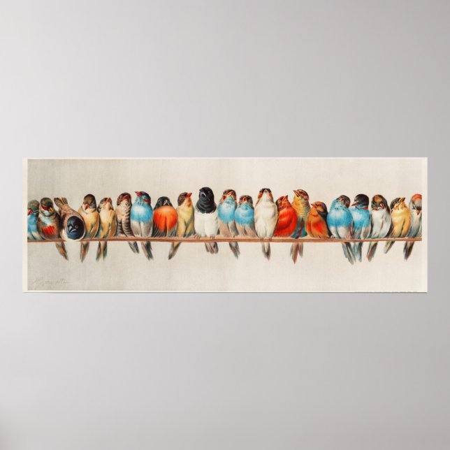 Cute Birds Poster (Front)