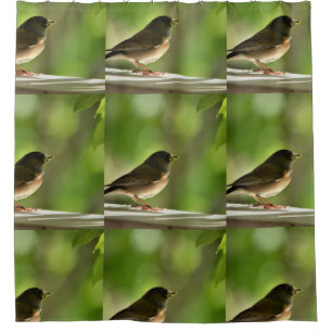 Cute birds Shower Curtain